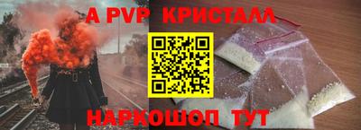 индика Кингисепп