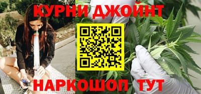 индика Кингисепп