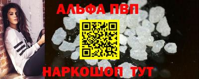 индика Кингисепп