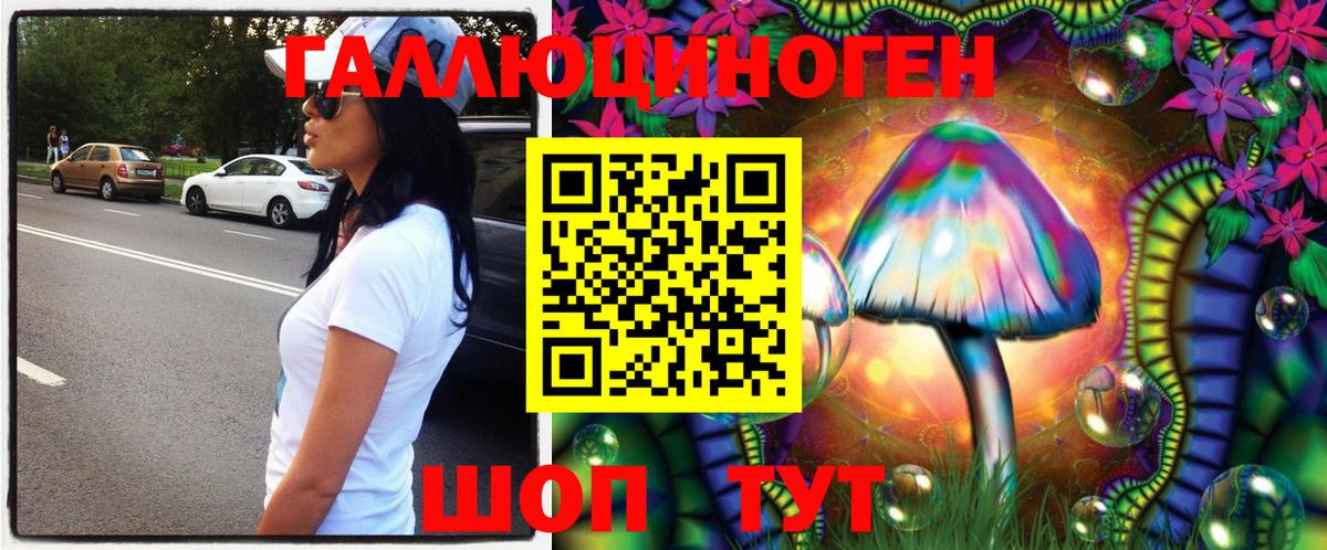 Карачаевск  Галлюциногенные грибы GOLDEN TEACHER  Псилоцибиновые грибы Psilocybe  Вход с VPN 