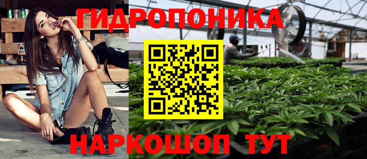 Канабис конопля Карачаевск